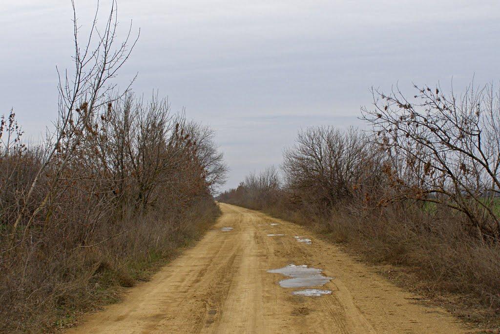 Бецилове з panoramio.com - Бецилове