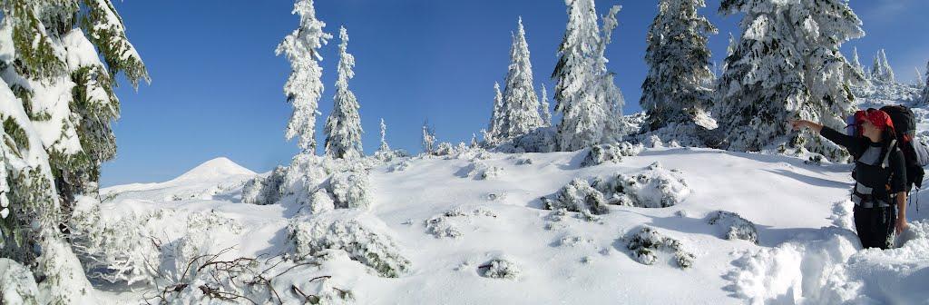 Говерла з panoramio.com (ч.2) - Говерла