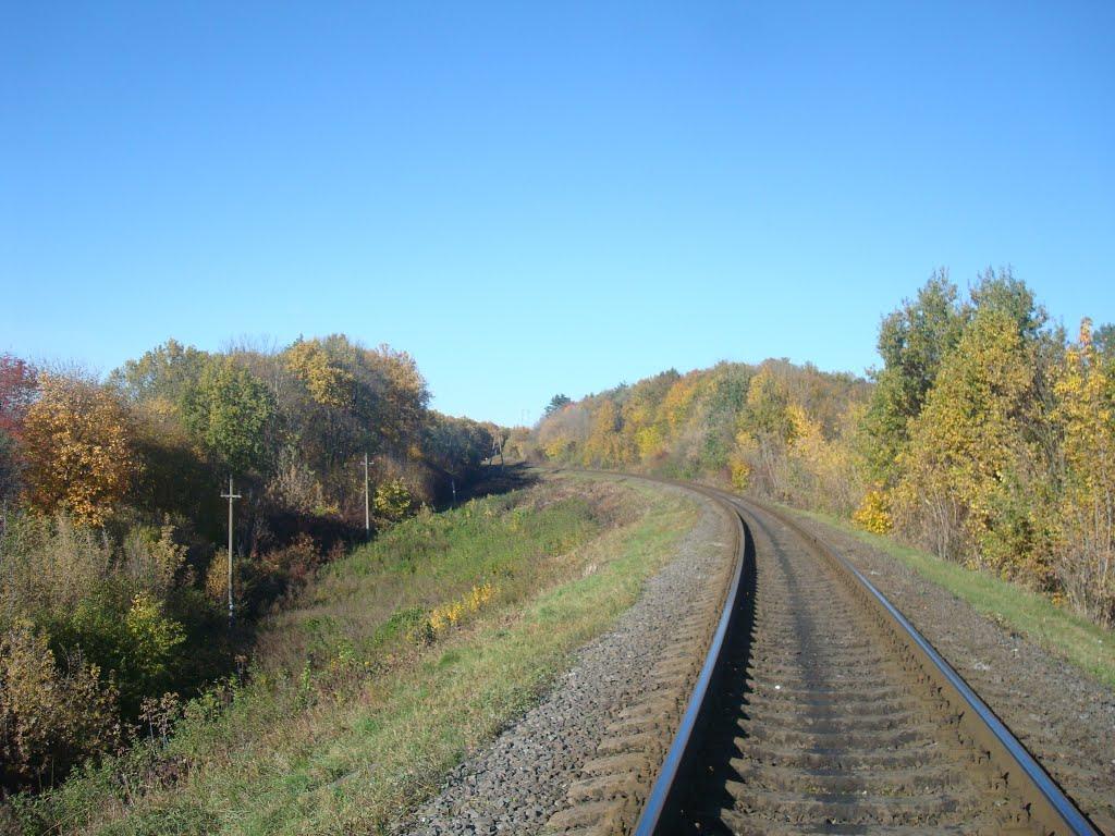 Щиборівка з panoramio.com - Щиборівка