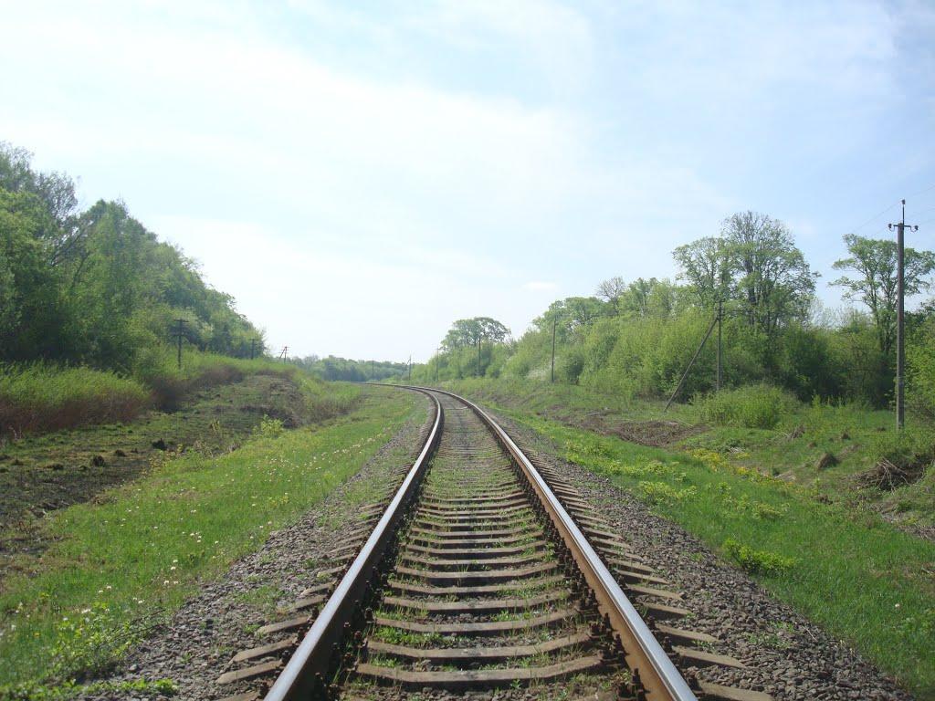 Старі Бейзими з panoramio.com - Старі Бейзими