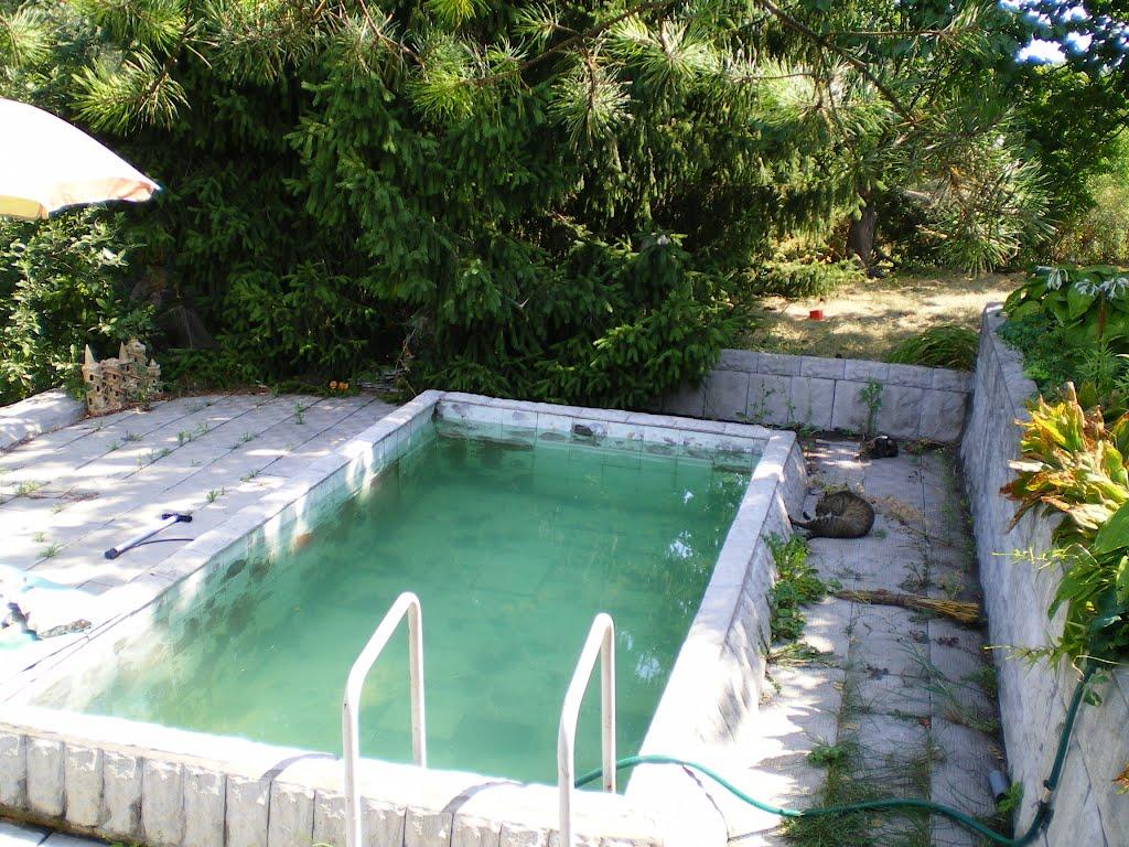 Пискунівка з panoramio.com - Пискунівка