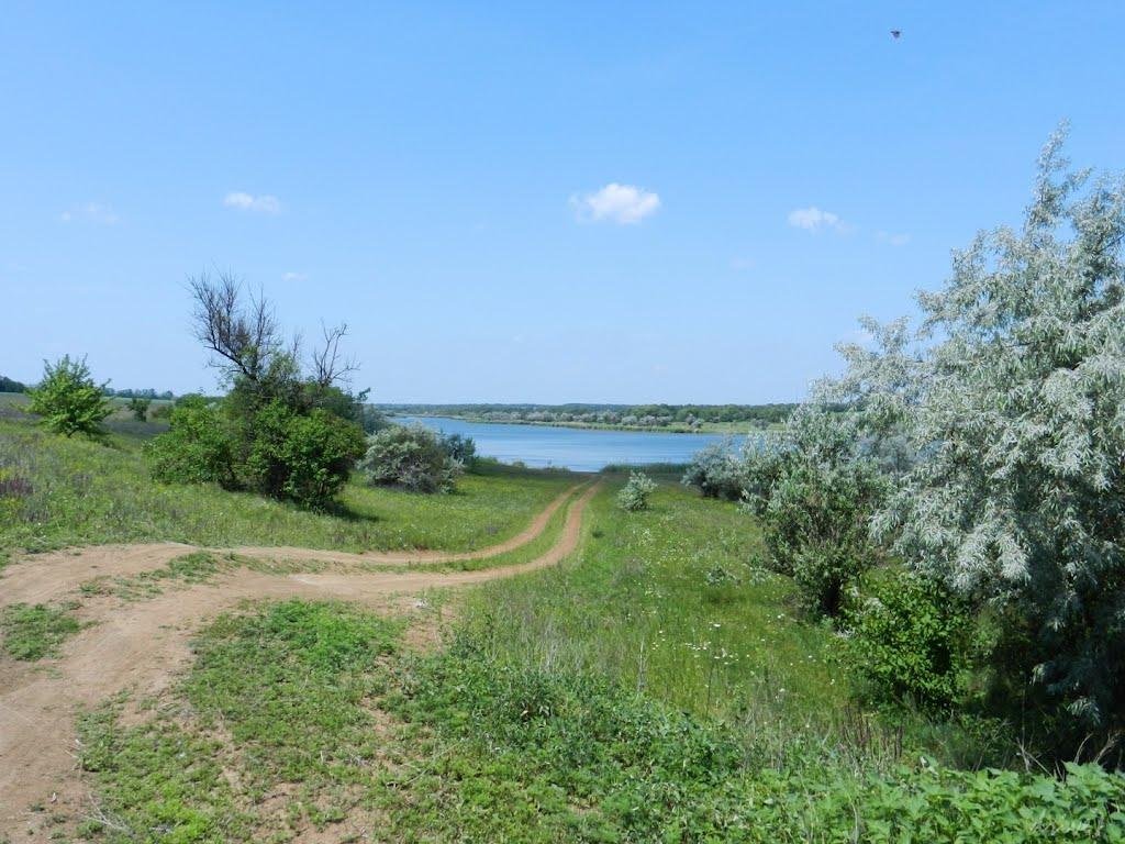 Бурлацьке з panoramio.com - Бурлацьке