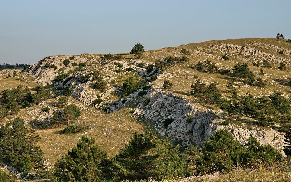 Охотниче з panoramio.com (ч.3) - Охотничее