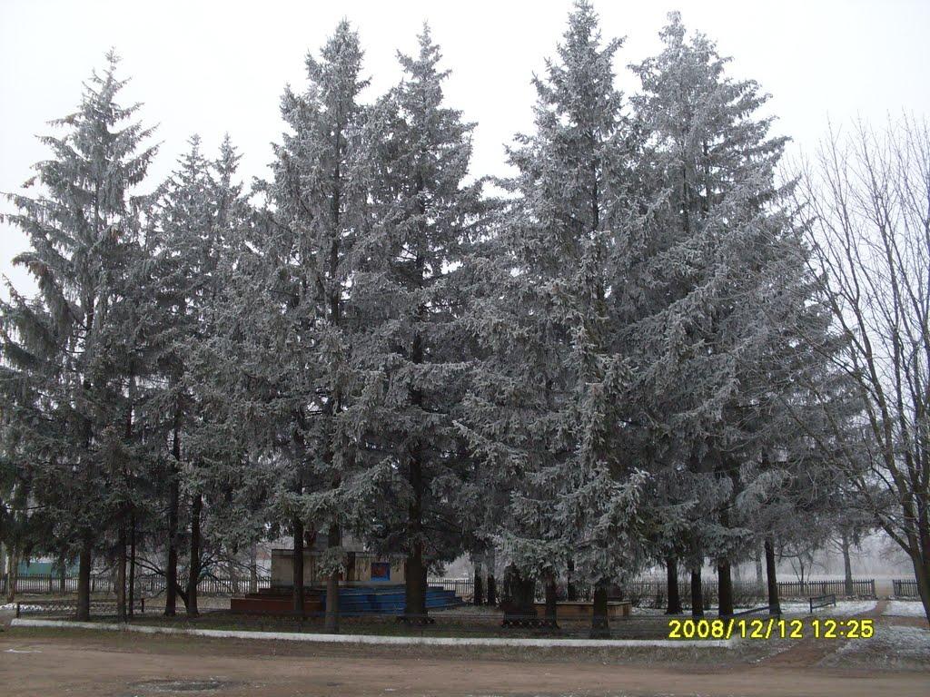 Новаки з panoramio.com - Новаки