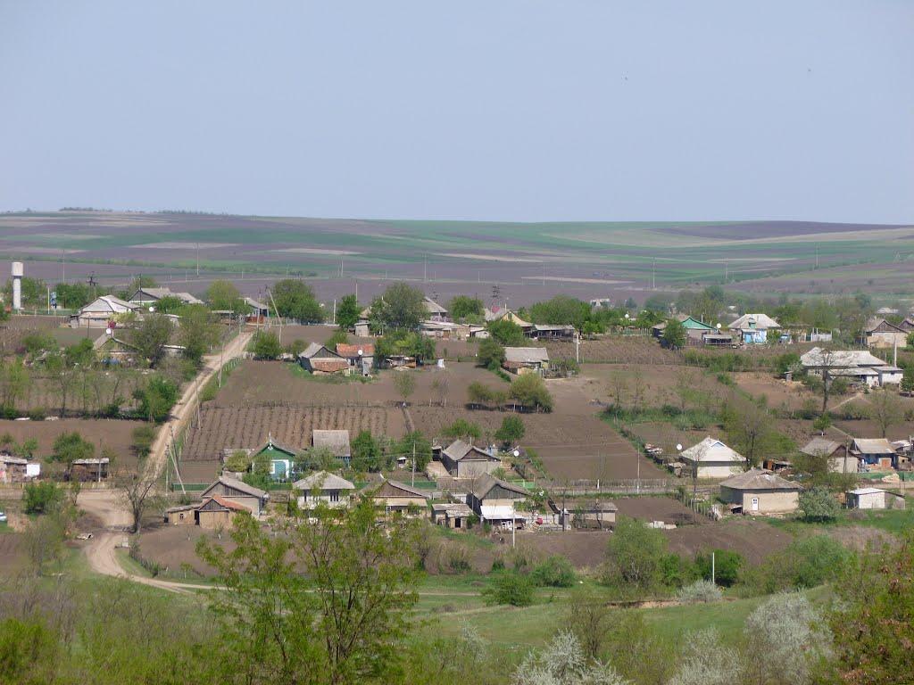 Височанське з panoramio.com - Височанське