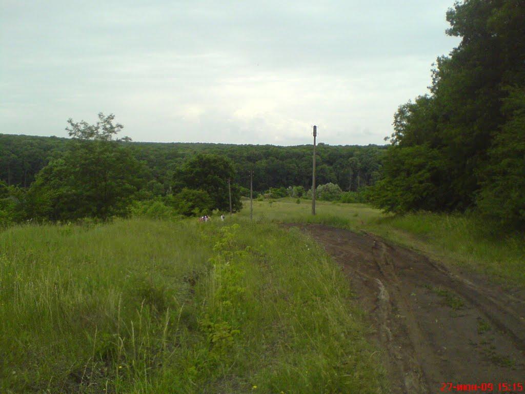 Ленінське з panoramio.com - Ленінське