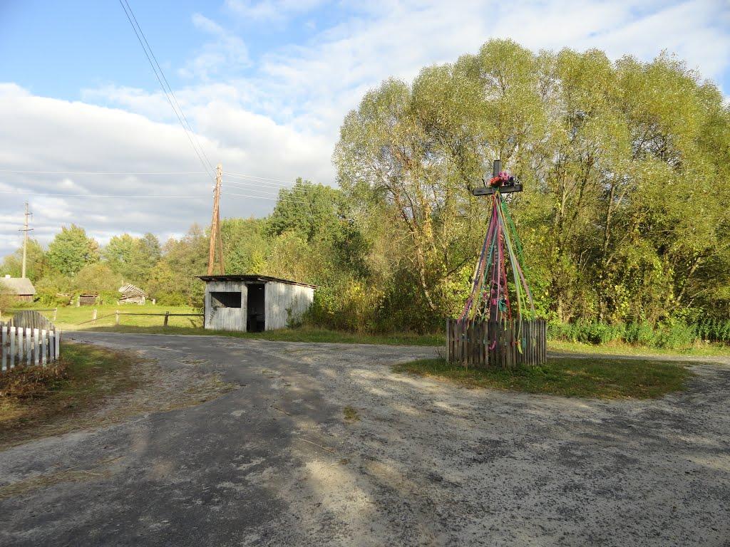 Виликий Обзир з panoramio.com - Виликий Обзир