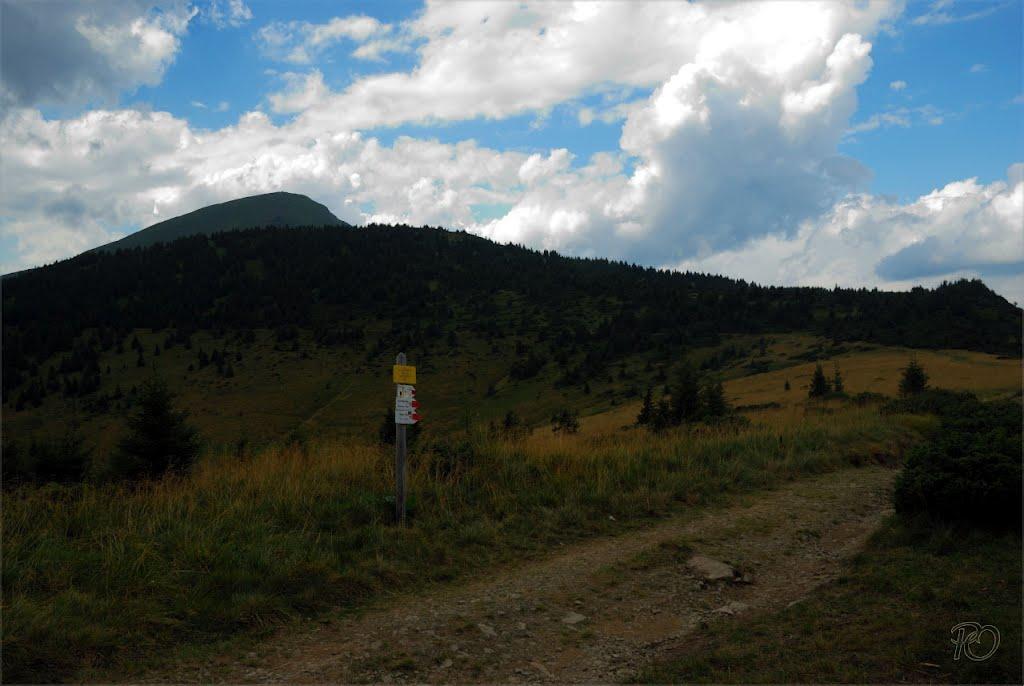 Говерла з panoramio.com (ч.2) - Говерла