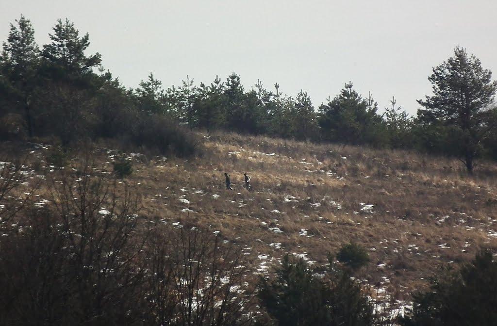 Кропивник з panoramio.com - Kropyvnyk