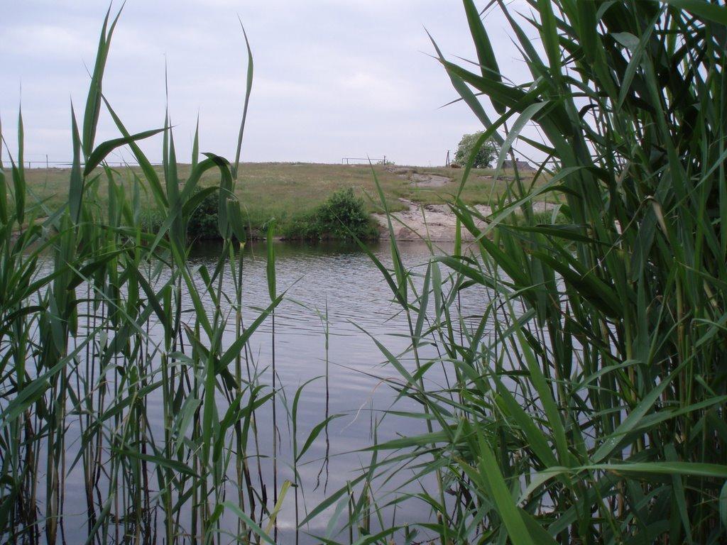Ордо-Василівка з panoramio.com - Ордо-Василівка