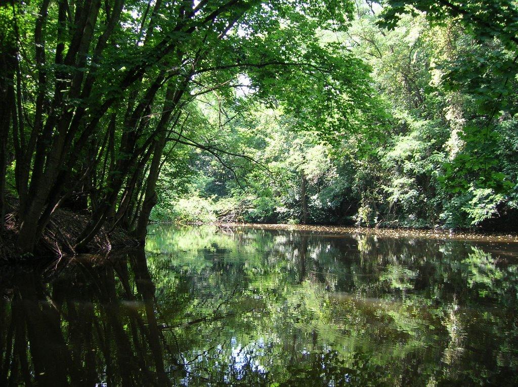 Галабор з panoramio.com - Galabor