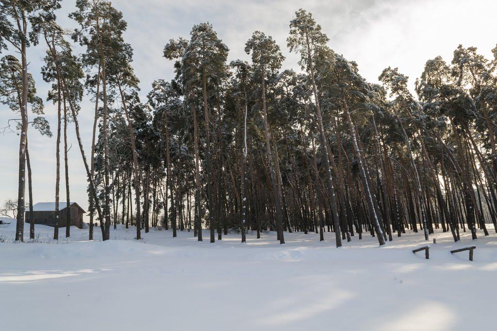 Карасиха з panoramio.com - Карасиха