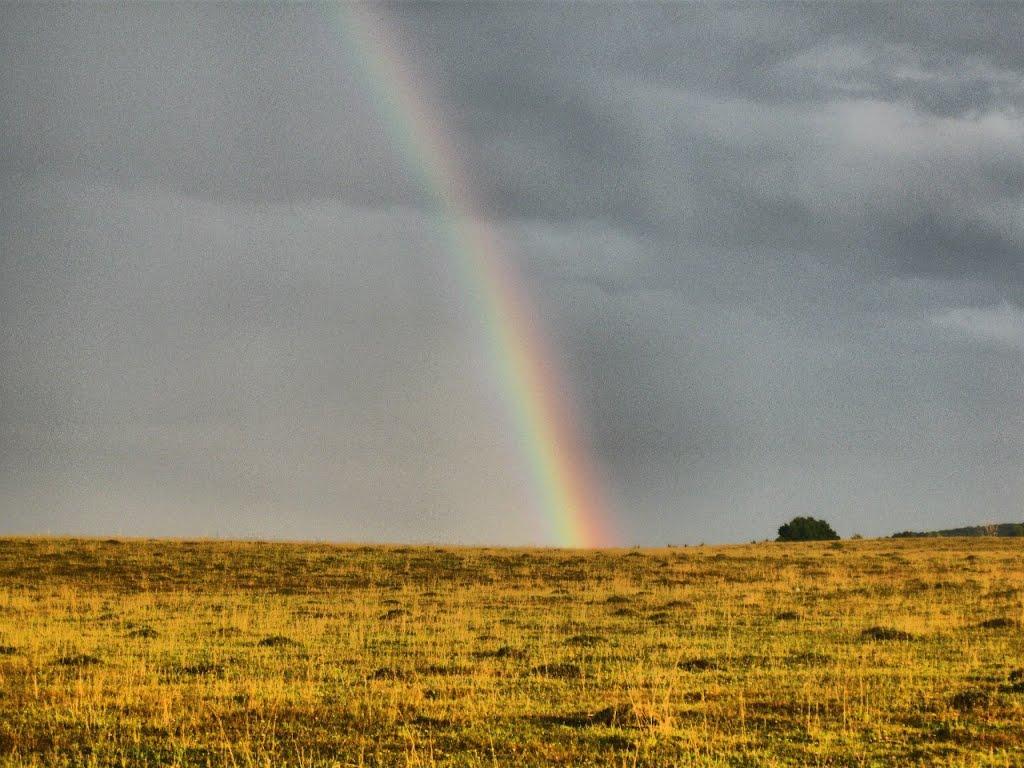 Пеньківка з panoramio.com - Penkivka