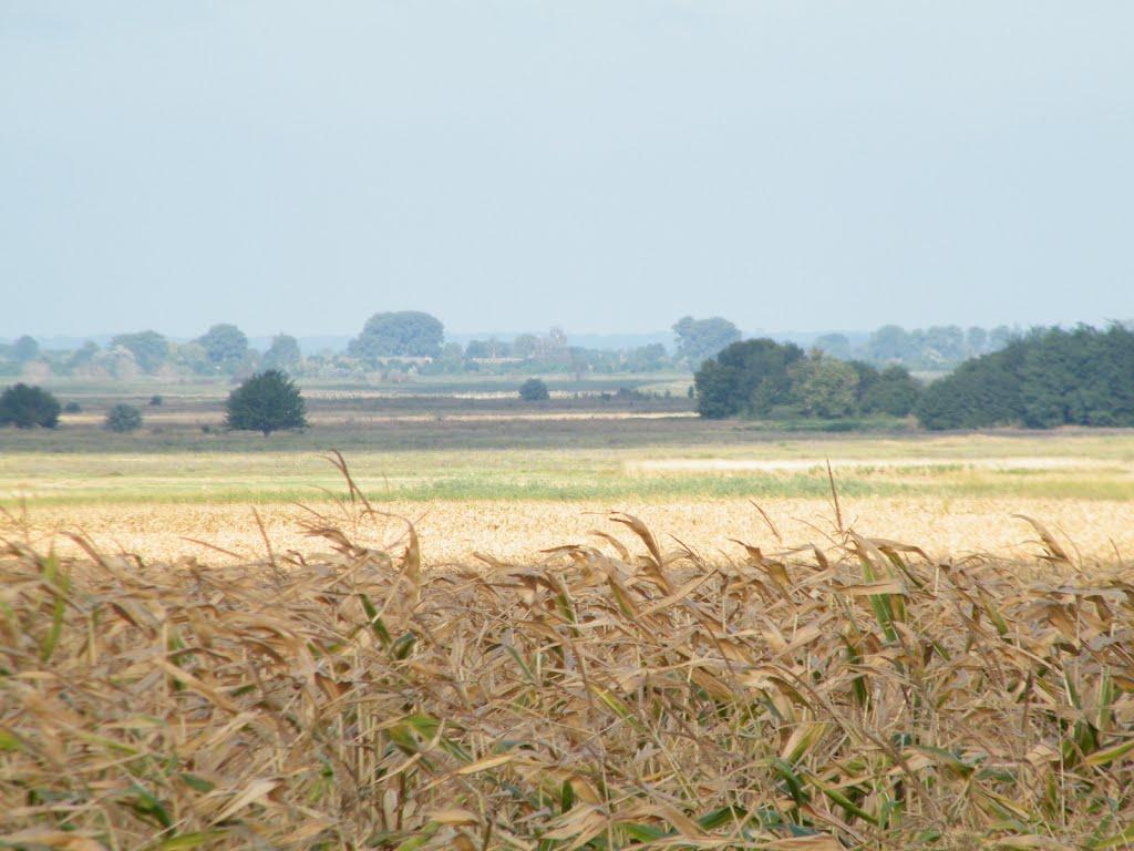 Святилівка з panoramio.com - Святилівка