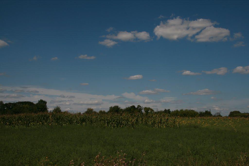 Жданівка з panoramio.com - Жданівка