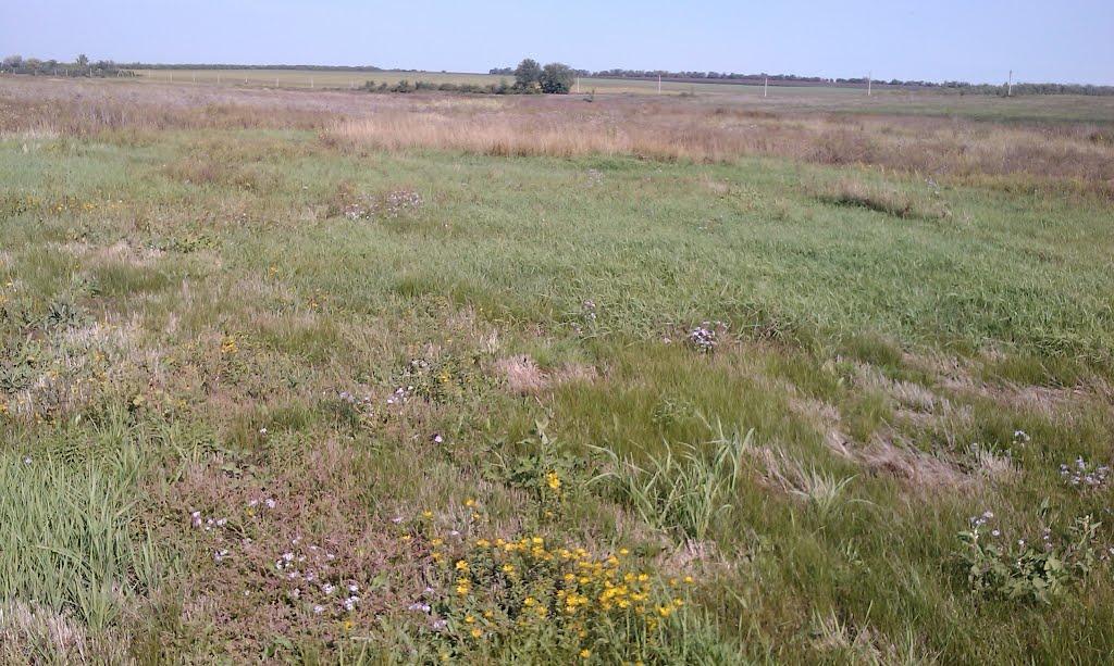 Бузинівка з panoramio.com - Бузинівка