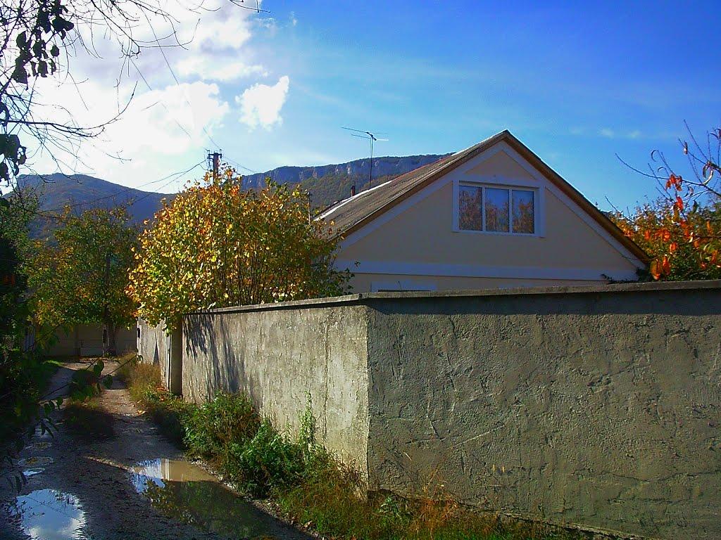 Куйбишеве з panoramio.com (ч.2) - Куйбышево