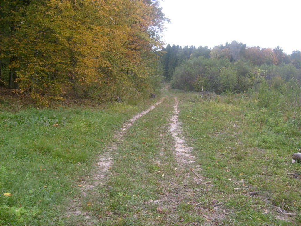 Кам'яногірка з panoramio.com - Каменногорка