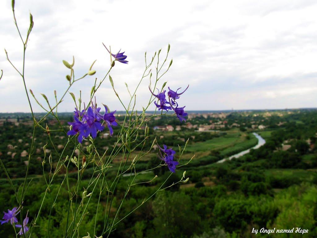 Кривий Ріг з panoramio.com (ч.9) - Кривой Рог