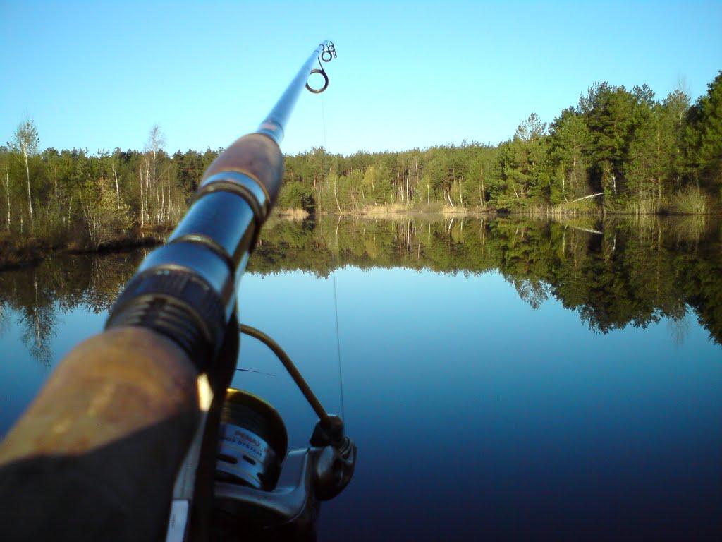 Рудня-Димерська з panoramio.com - Рудня-Димерская