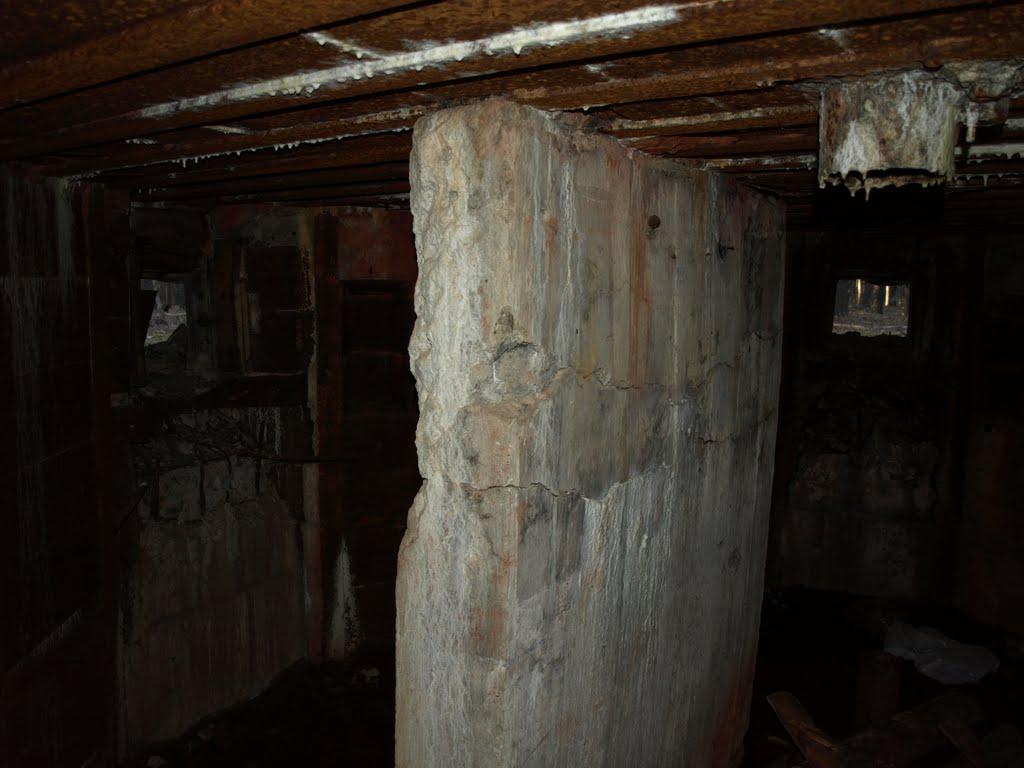 Гостомель з panoramio.com - Гостомель