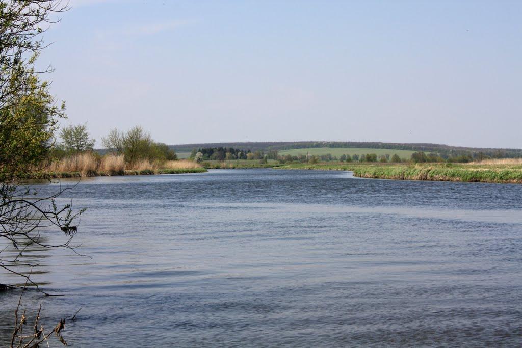 Мізяківська Слобідка з panoramio.com - Мізяківська Слобідка