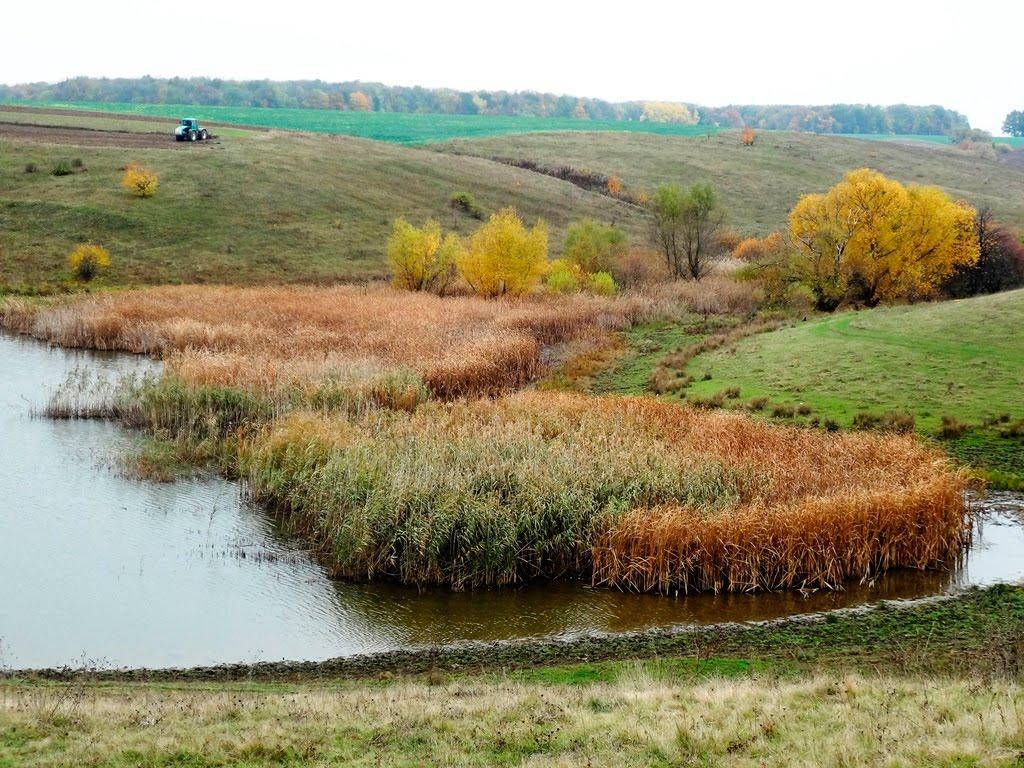 Дзензелівка з panoramio.com - Дзензелівка