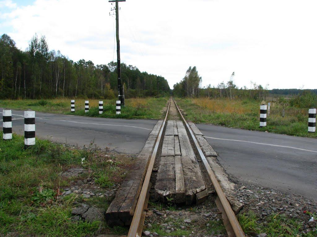 Каноничі з panoramio.com - Каноничи