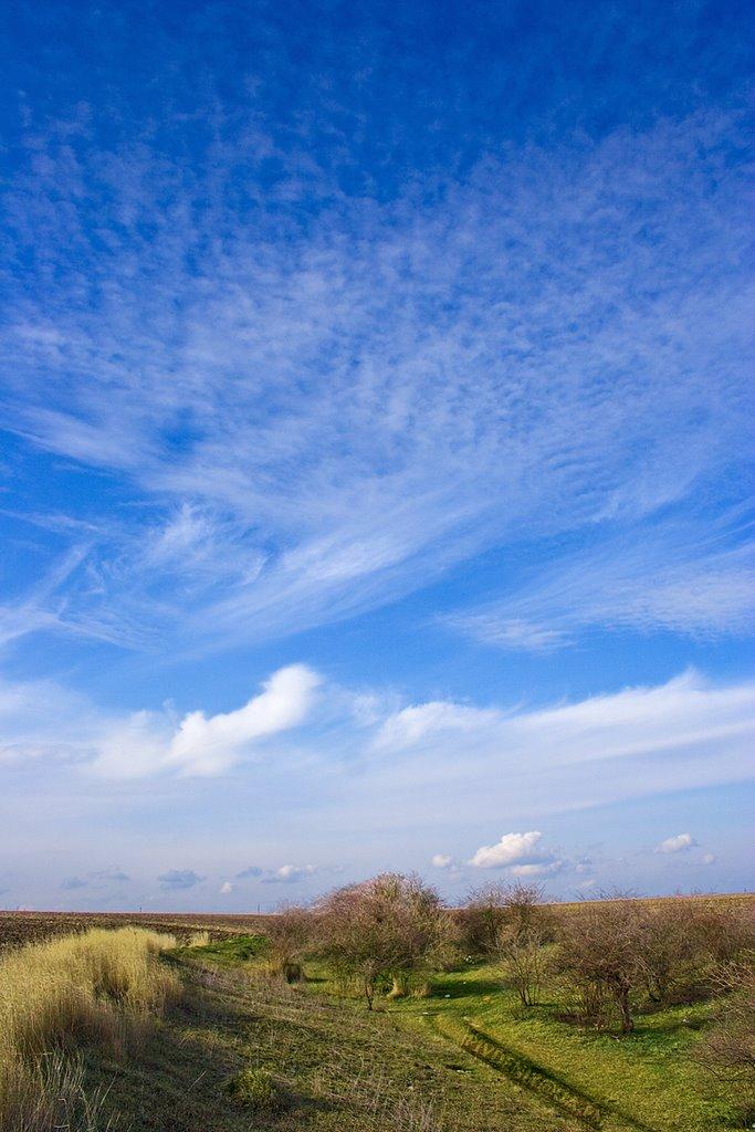 Южне з panoramio.com - Южне