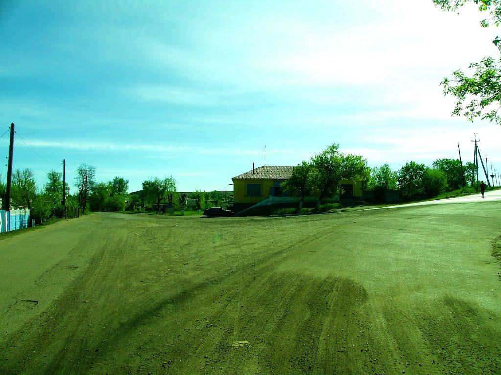 Селезнівка з panoramio.com - Селезнівка