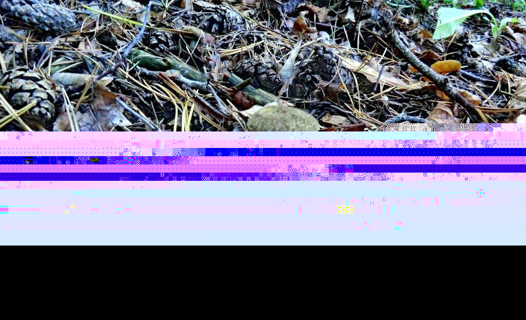 Малий Вистороп з panoramio.com - Малий Вистороп