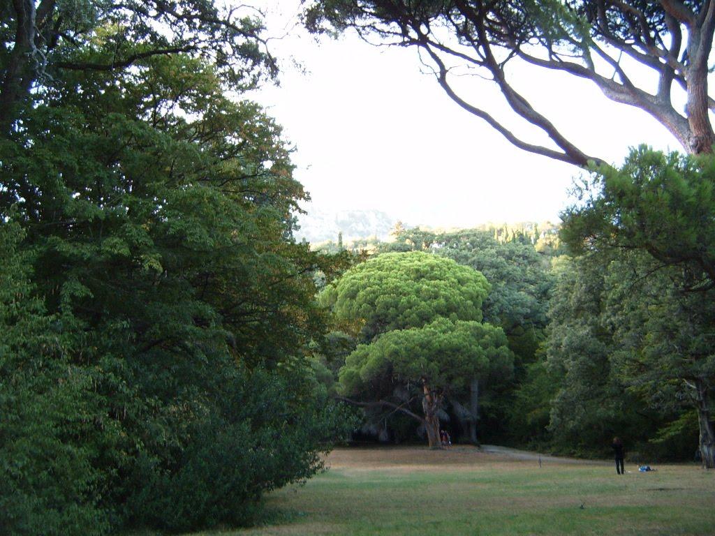 Алупка з panoramio.com (ч.3) - Alupka