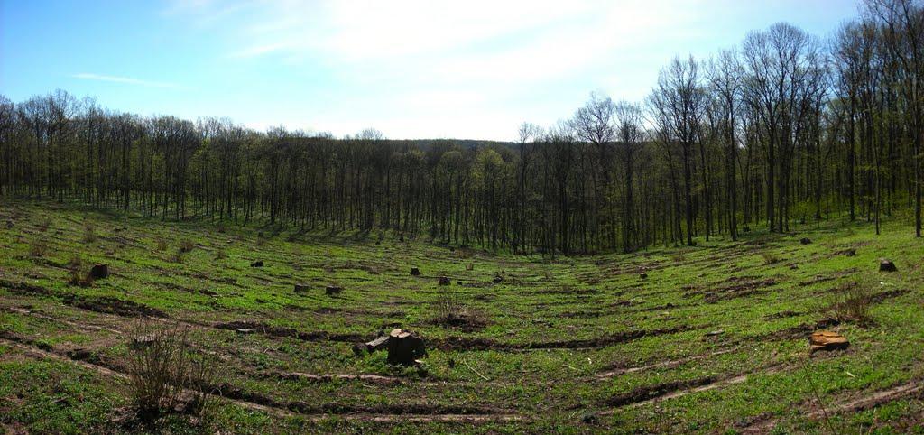 Скаржинка з panoramio.com - Скаржинка