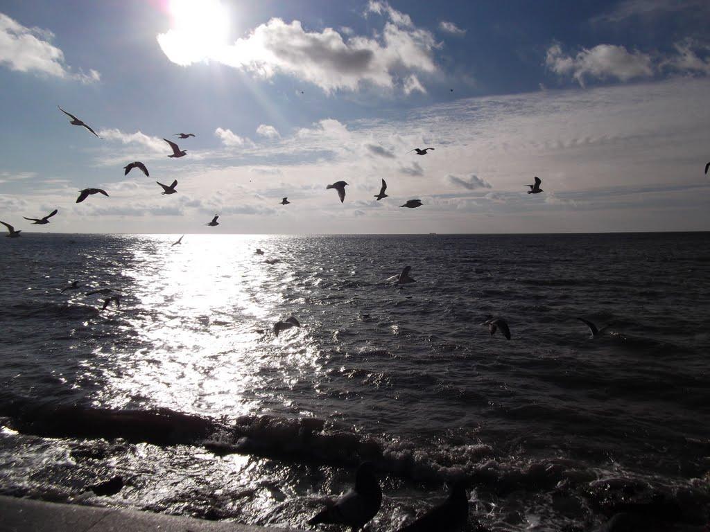 Бердянськ з panoramio.com (ч.3) - Berdyansk