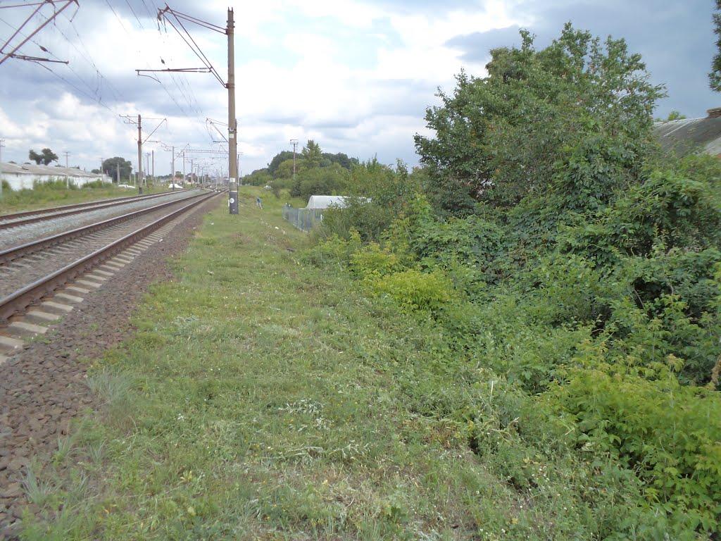 Баришівка з panoramio.com - Баришівка