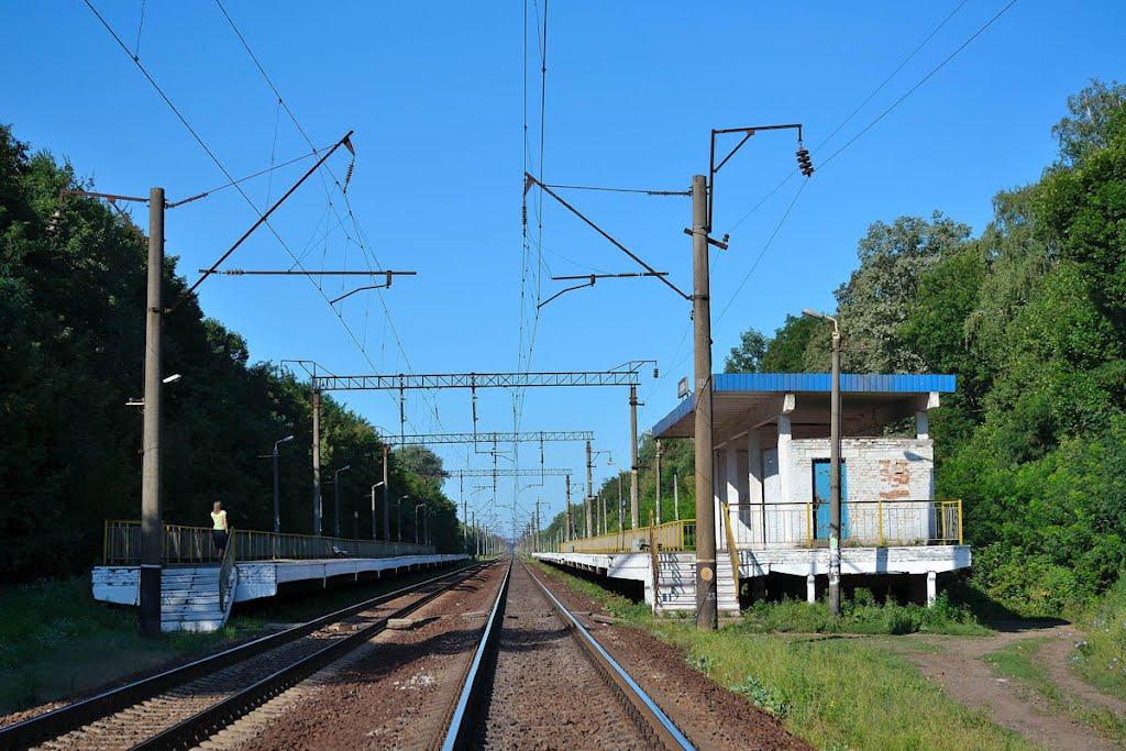 Марківці з panoramio.com - Markivtsi