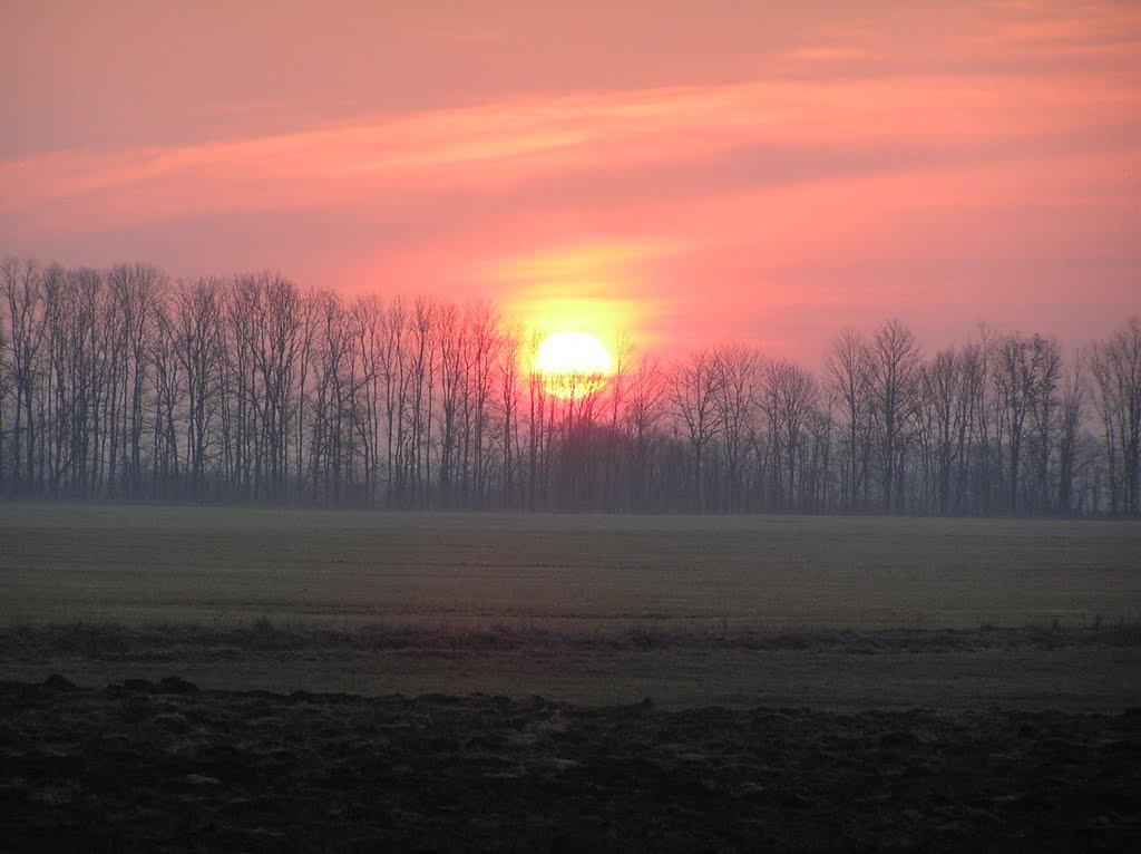 Сінгури з panoramio.com - Сингуры