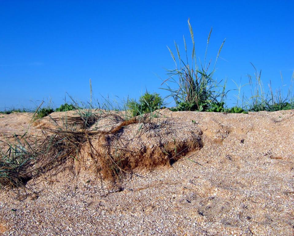 Щасливцеве з panoramio.com (ч.2) - Щасливцеве