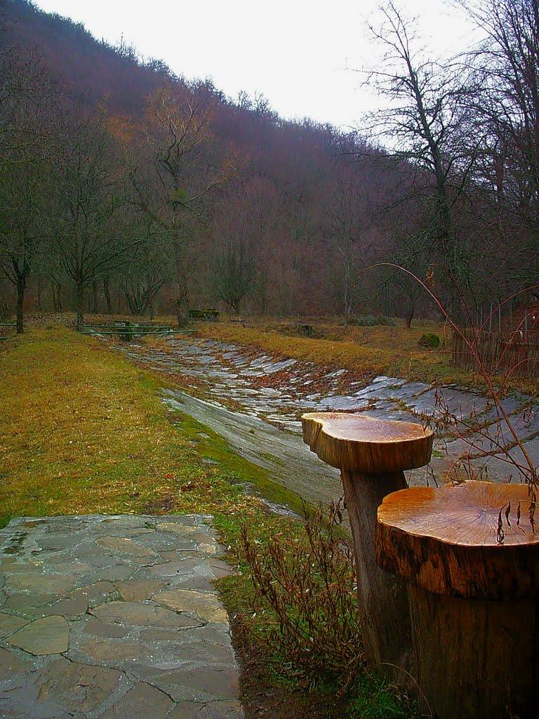 Розовий з panoramio.com (ч.2) - Розовий