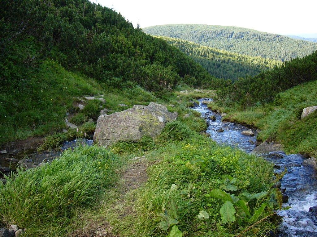 Говерла з panoramio.com (ч.2) - Говерла