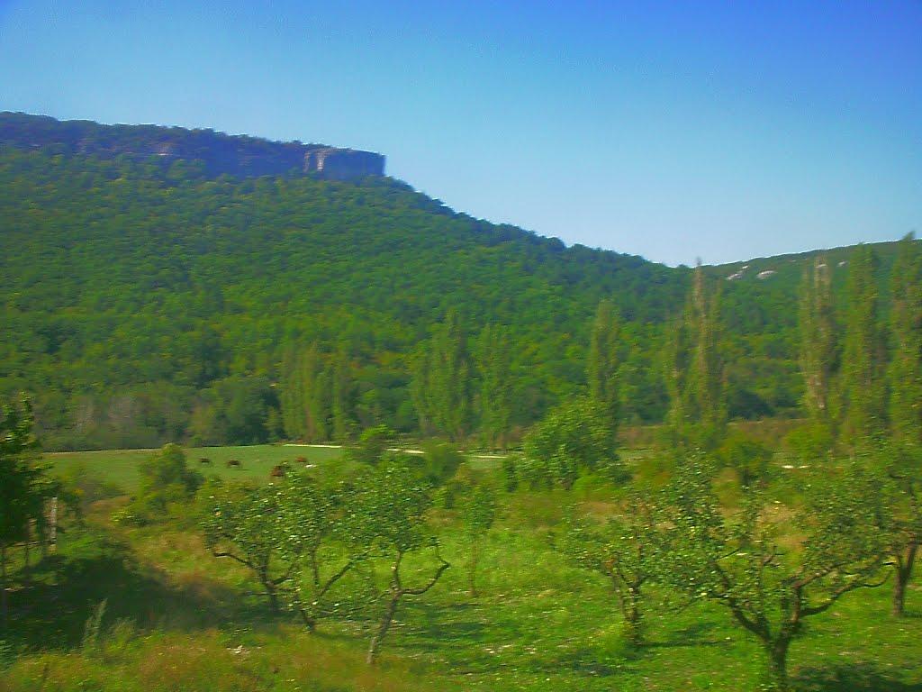 Велике Садове з panoramio.com - Большое Садовое