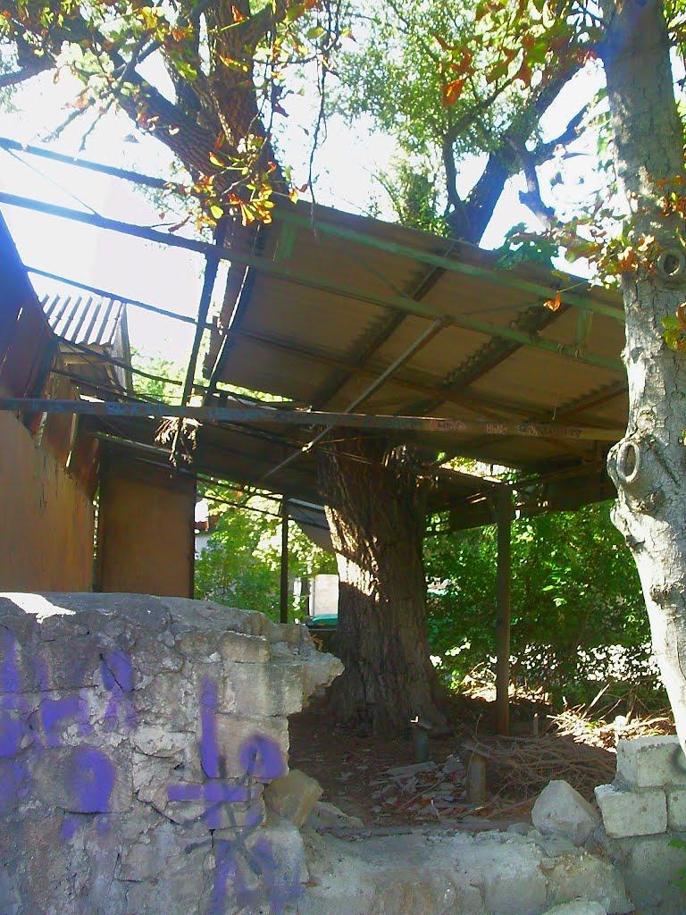 Бахчисарай з panoramio.com (ч.5) - Бахчисарай