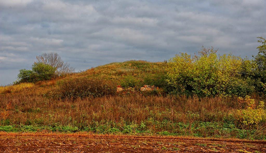 Миколаївка з panoramio.com - Николаевка