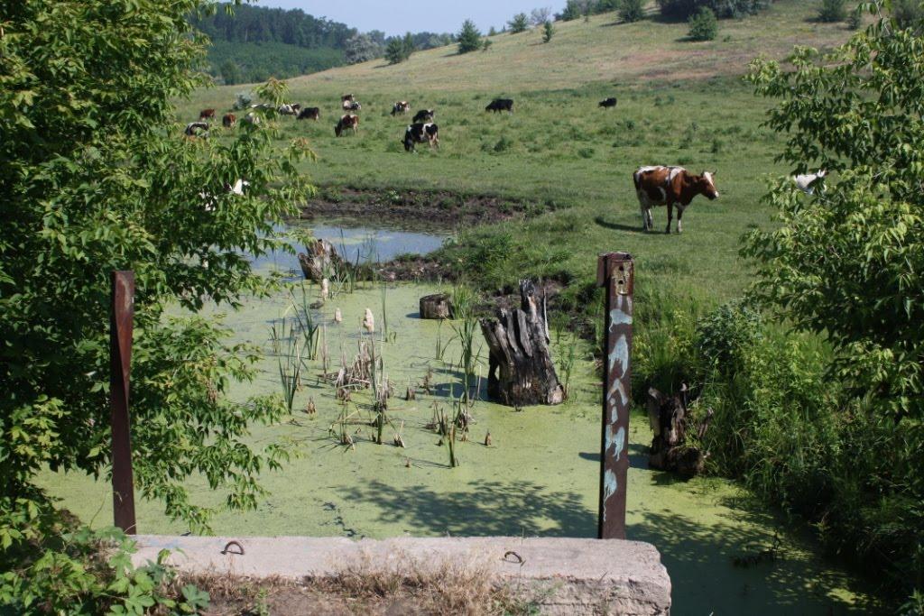Вереміївка з panoramio.com - Вереміївка