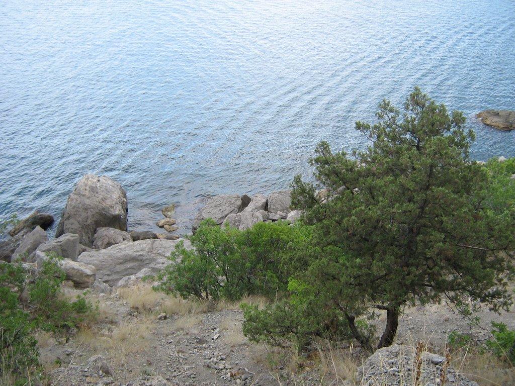 Новий Світ з panoramio.com (ч.4) - Новий Світ
