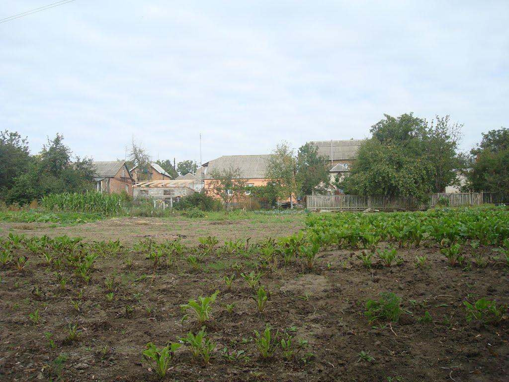 Хмельницький з panoramio.com (ч.13) - Хмельницкий