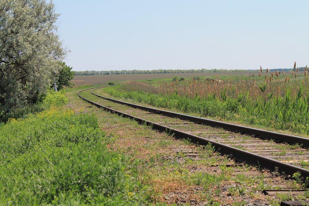 Володимирівка з panoramio.com - Владимировка