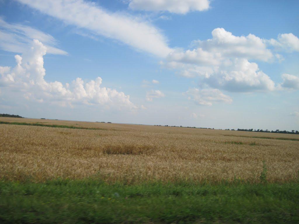 Хорішки з panoramio.com - Хорошки