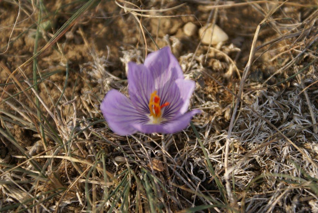 Кольчугине з panoramio.com - Кольчугине