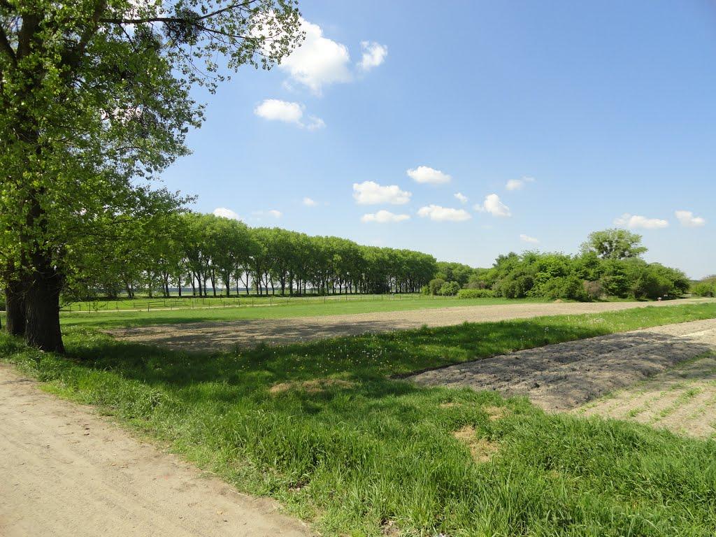 Новоукраїнка з panoramio.com - Новоукраїнка